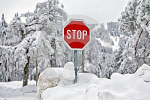 Frozen Stop Sign Horizontal