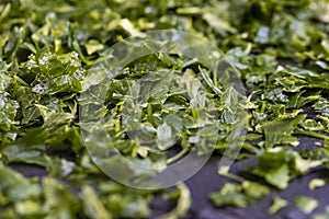 frozen for storing green spice parsley on the table photo