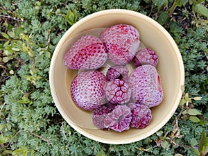 Frozen strawberry and raspberry. Summer time. Healthy food.