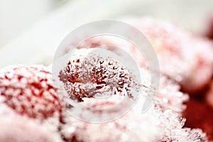 Frozen strawberry selectived focus
