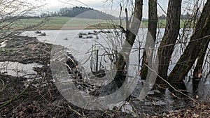 Frozen stream with ice floes and water