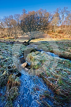 Frozen stream on a sunny winter day