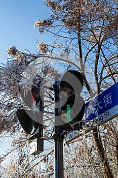 Frozen street signal light