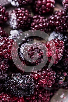 Frozen summer forest wild blackberries, full frame background