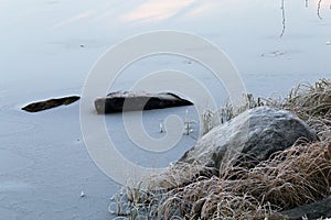 Frozen Surface of Lake Valkeinen and Hoarfrost on Plants in Kuopio, Finland