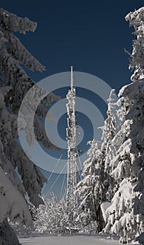 Frozen telecommunication tower in snowy forest in Ukraine