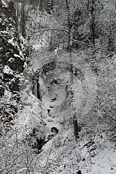 Frozen Thunderbird Falls