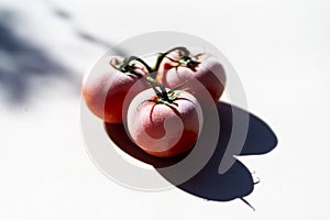 Frozen tomatoes isolated on white