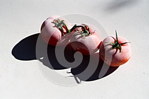 Frozen tomatoes isolated on white