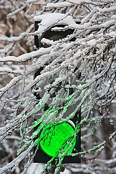 Frozen traffic lights