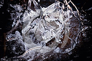 Frozen tree branches covered with ice in the flowing river, abstract nature background