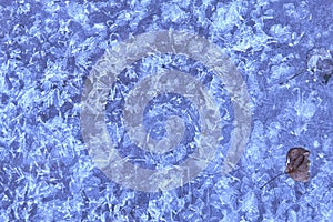 A frozen tree leaf on ice block