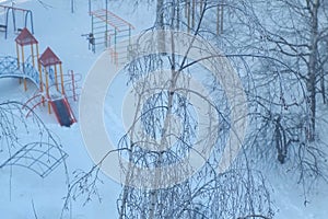 Frozen trees birches covered snow in winter time on the street and playground.