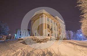 Frozen trees and buildings. Cold night.