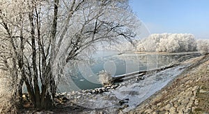 Confluence of Morava and Danube rivers in winter. Devin, boroug