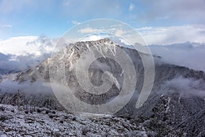 Frozen trees in mountain of China