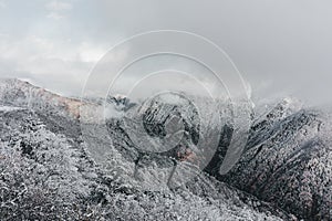 Frozen trees in mountain of China