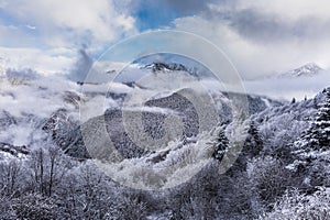 Frozen trees in mountain of China