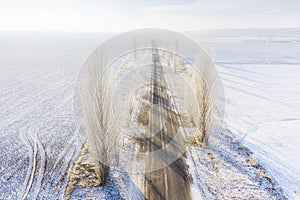 Frozen trees and a rural paved snowy road.