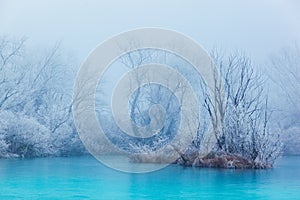 Frozen turquoise lake in misty winter morning, with winter trees