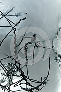 Frozen Twisted Wire