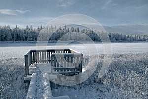 Frozen viewpoint