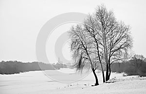 Frozen Volkhov river