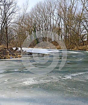 Frozen water course in a riparian forest