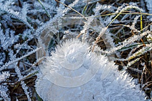 Frozen water crystals in nature during the cold snap, the onset of winter, weather forecast for frost, winter
