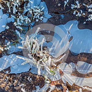 Frozen water and ice crystals