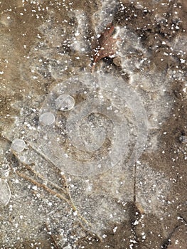 Frozen water, ice surface with bubbles and leaf. Cold texture close up