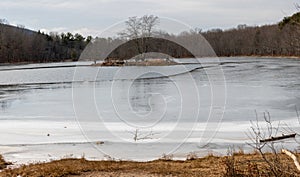 Frozen water pond in forest