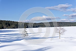 Frozen water reservoir on the Cerna Nisa river by the dam in Bedrrichov, Czech Republic, Europe.