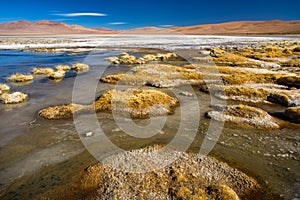 Frozen water at the shore of  Salar del Quisquiro in the Altiplano at an altitude of 4150m, Atacama desert, Chile photo