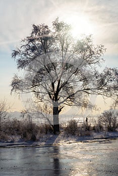 Frozen Water, Snow and Ice on the Dnieper River