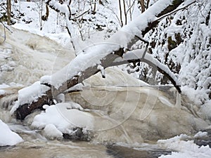 Frozen waterfall, icy twigs and icy boulders in frozen foam of rapid stream. Winter creek. Extreme freeze.