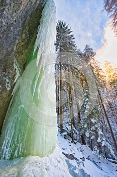 Frozen waterfall in Sucha Bela gorge in Slovak Paradise during winter