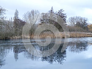 Frozen wetlands at Tophill Low near Driffield, East Yorkshire, England