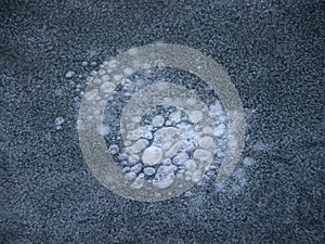 Frozen White Bubbles in Sea Water Ice Floe