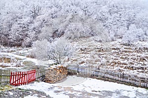 Frozen white winter christmas landscape covered in snow and mist