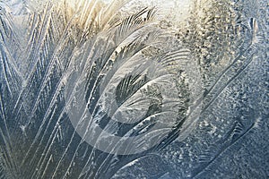 Frozen window-glass