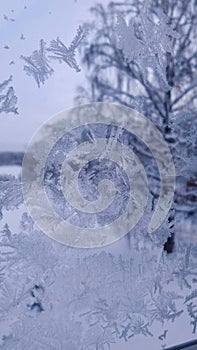 Frozen window in the winter