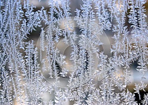 Frozen windowglass