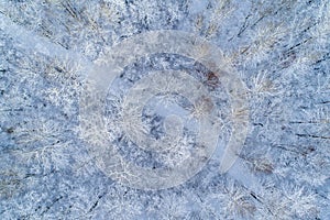 Frozen winter forest view from above