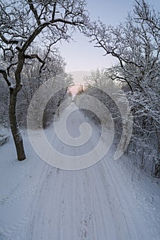 Frozen winter forest and winter road