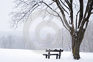 Frozen winter landscape with snow-covered bench