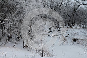 Frozen Winter River with Hoarfrost