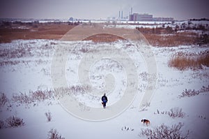 Frozen Winter Snowy Landscape Vacaresti Delta Bucharest