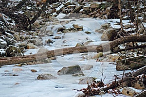 Frozen winter stream in the woods