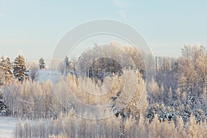 Frozen winter trees at sunrise